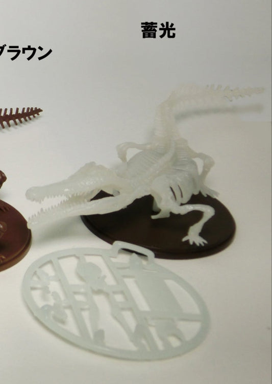Toyotamaphimeia prehistoric Crocodile Skeleton Fossil PVC figurine figure model (Color D) 1/35
