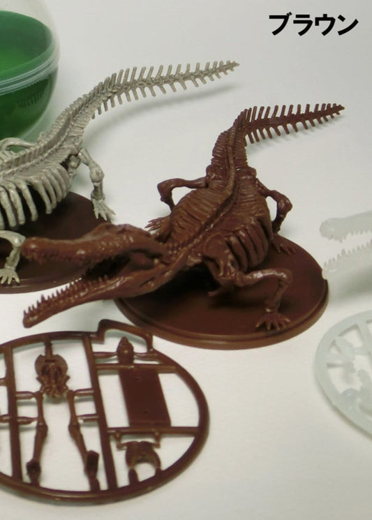 Toyotamaphimeia prehistoric Crocodile Skeleton Fossil PVC figurine figure model (Color C) 1/35