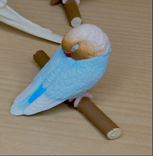Retired Japan SHINEG Sleeping Love Bird Parrot Bird PVC mini figure figurine Model D