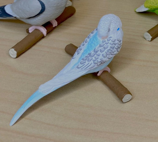 Retired Japan SHINEG Sleeping Budgerigar common parakeet Parrot Bird PVC mini figure figurine Model A