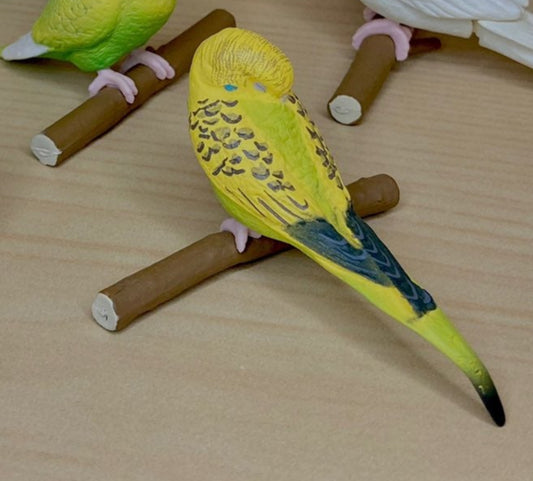 Retired Japan SHINEG Sleeping Budgerigar common parakeet Parrot Bird PVC mini figure figurine Model B