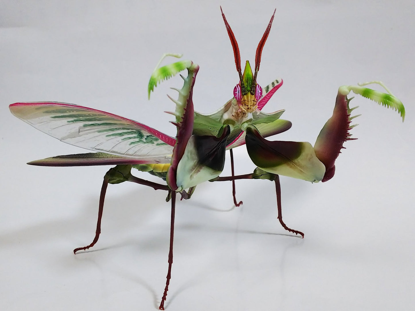 Giant devil's flower mantis adult insect PVC Action Figure model with joints