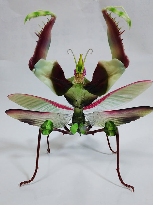 Female Giant devil's flower mantis adult insect PVC Action Figure model with joints