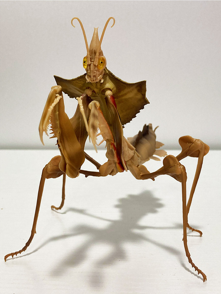 Giant devil's flower mantis juvenile insect PVC Action Figure model with joints