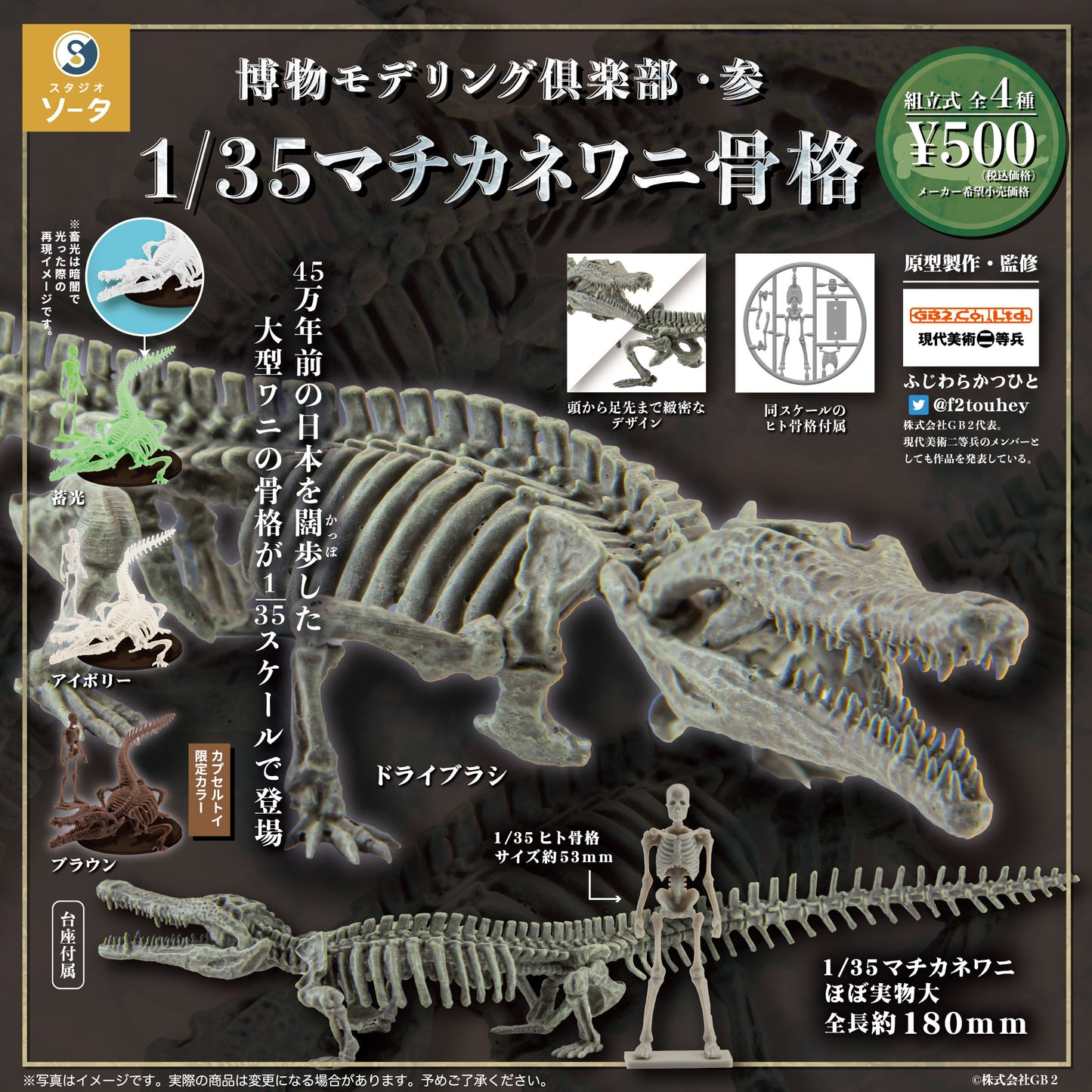 Toyotamaphimeia prehistoric Crocodile Skeleton Fossil PVC figurine figure model (Color A) 1/35