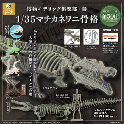 Toyotamaphimeia prehistoric Crocodile Skeleton Fossil PVC figurine figure model (Color A) 1/35