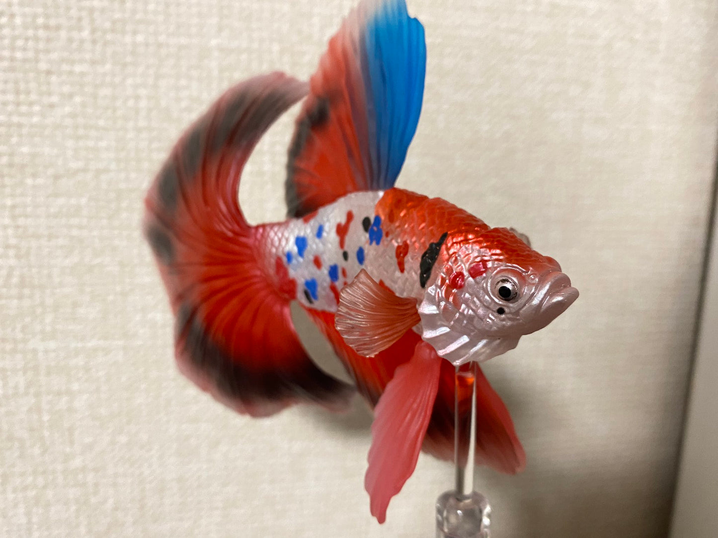 Siamese fighting fish betta fish PVC mini action figure model figurine with joints （Carp Betta Full Moon)