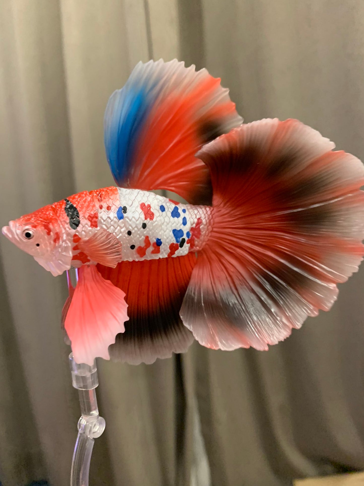 Siamese fighting fish betta fish PVC mini action figure model figurine with joints （Carp Betta Full Moon)