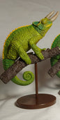 Japan Reptile Jackson Chameleon lizard PVC mini figure model figurine A