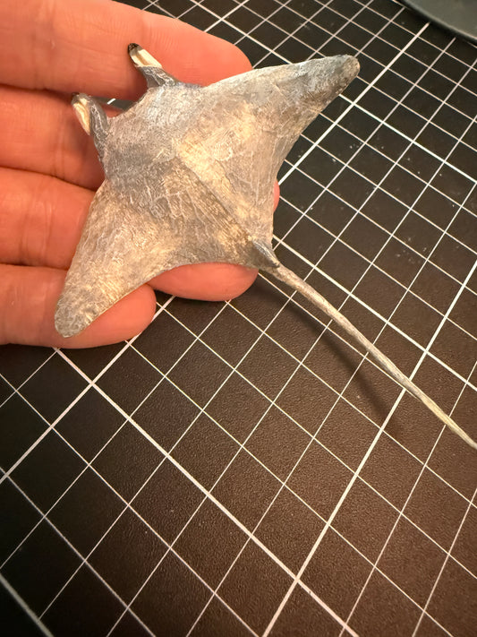 Kitan Club Osaka Aquarium Kaiyukan exclusive giant oceanic manta ray resin mini figure Model