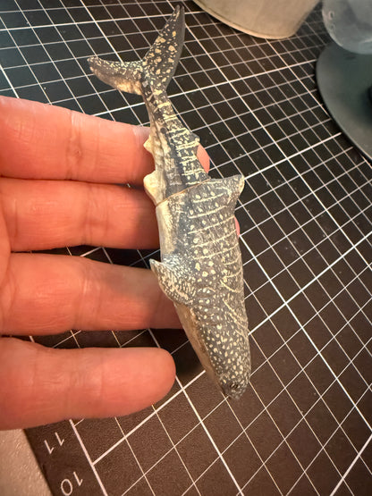 Kitan Club  Osaka Aquarium Kaiyukan exclusive Whale Shark whaleshark resin mini figure Model