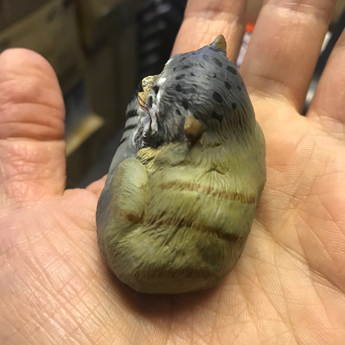 Pallas’s Cat Manul animal Resin Mini Figure Figurine Model