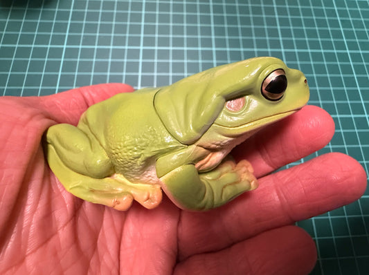 Kitan Club Nature Techni Color Australian green tree frog (白氏樹蛙) PVC mini capsule figure model figurine A