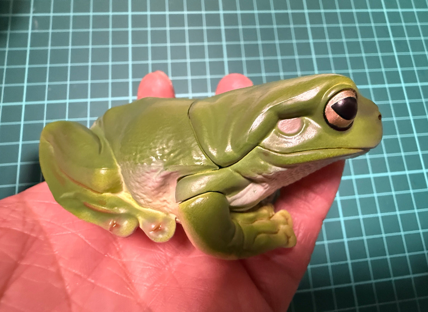 Kitan Club Nature Techni Color Australian green tree frog (白氏樹蛙) PVC mini capsule figure model figurine B