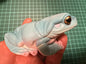 Kitan Club Nature Techni Color Australian green tree frog (白氏樹蛙) PVC mini capsule figure model figurine D