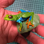 Red Eyed green tree frog (紅眼樹蛙) PVC mini capsule figure model figurine with base