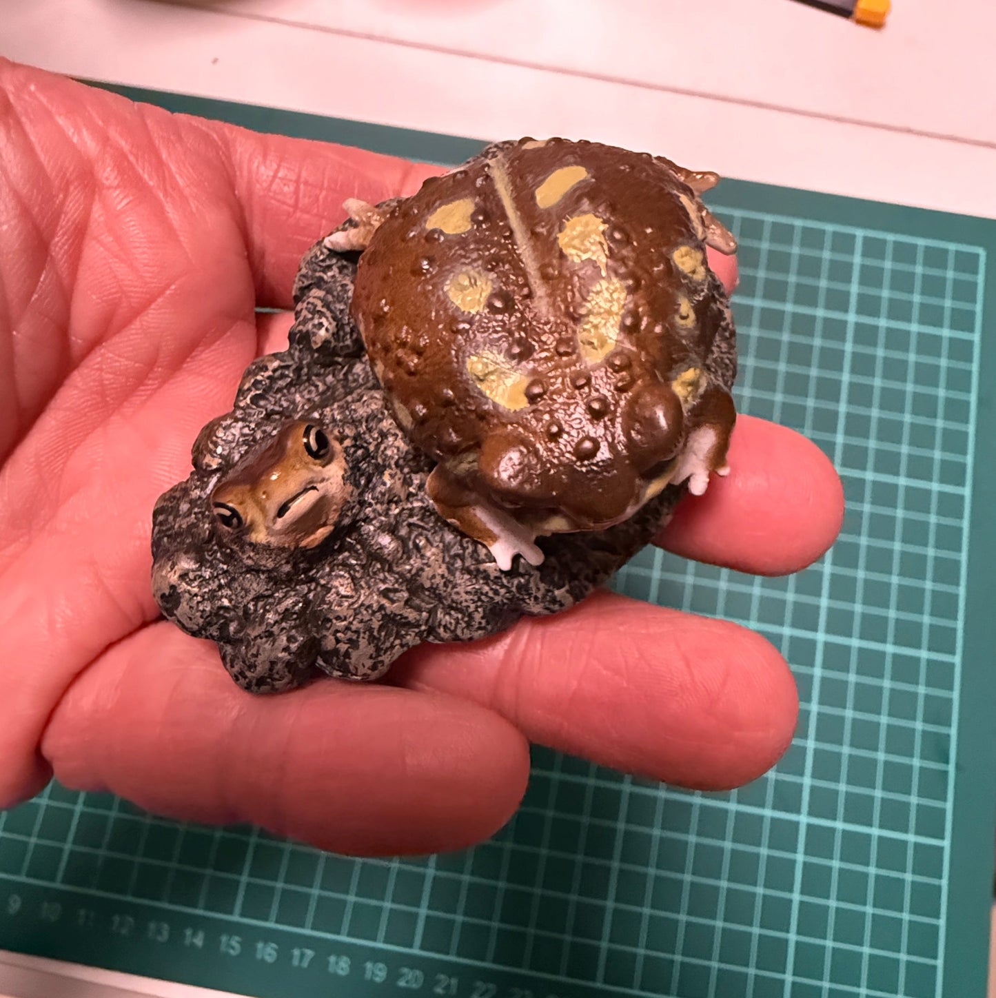 Japan Bushveld rain frog Toad (饅頭蛙) PVC mini capsule figure model figurine with base