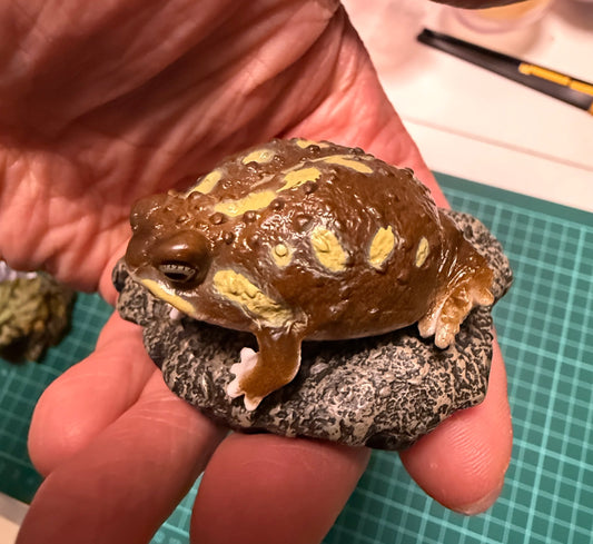 Japan Bushveld rain frog Toad (饅頭蛙) PVC mini capsule figure model figurine with base