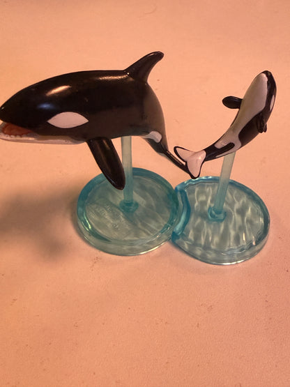 Japan Retired Bandai Killer Whale Orca & Calf PVC mini capsule figure model figurine