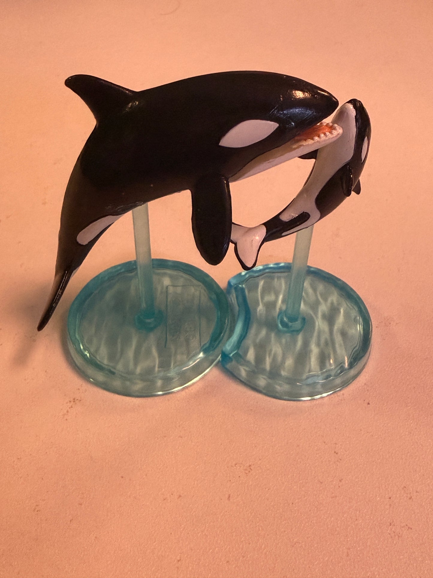 Japan Retired Bandai Killer Whale Orca & Calf PVC mini capsule figure model figurine