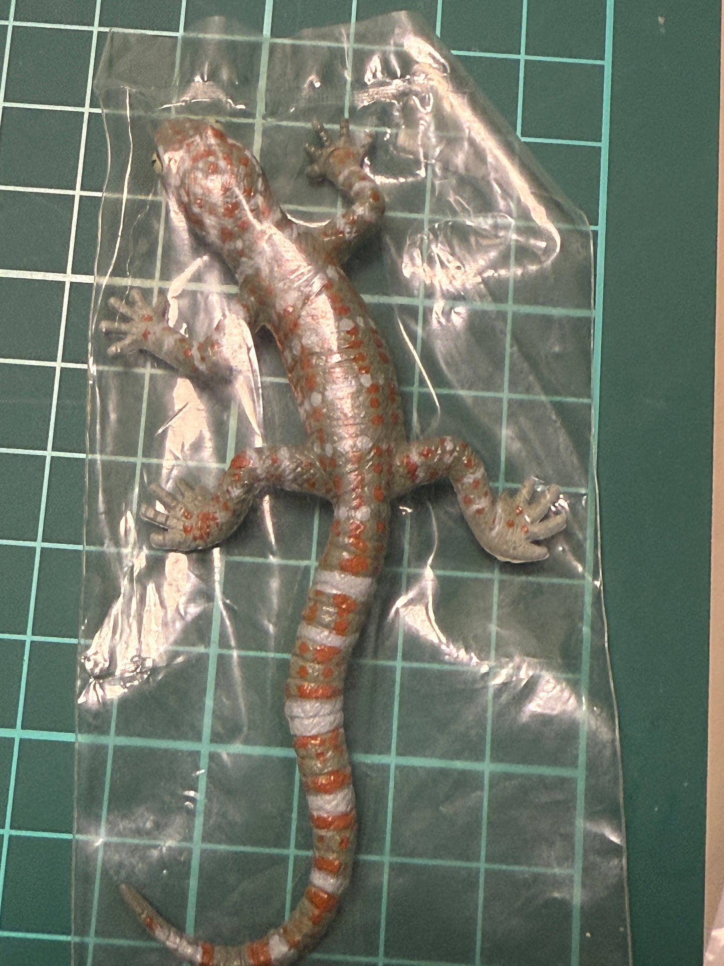 Retired Japan Yujin Lizard of the World PVC mini figure model Set ( 22 pcs included secret item)