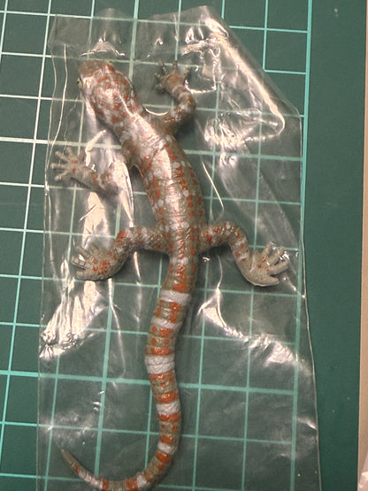 Retired Japan Yujin Lizard of the World PVC mini figure model Set ( 22 pcs included secret item)