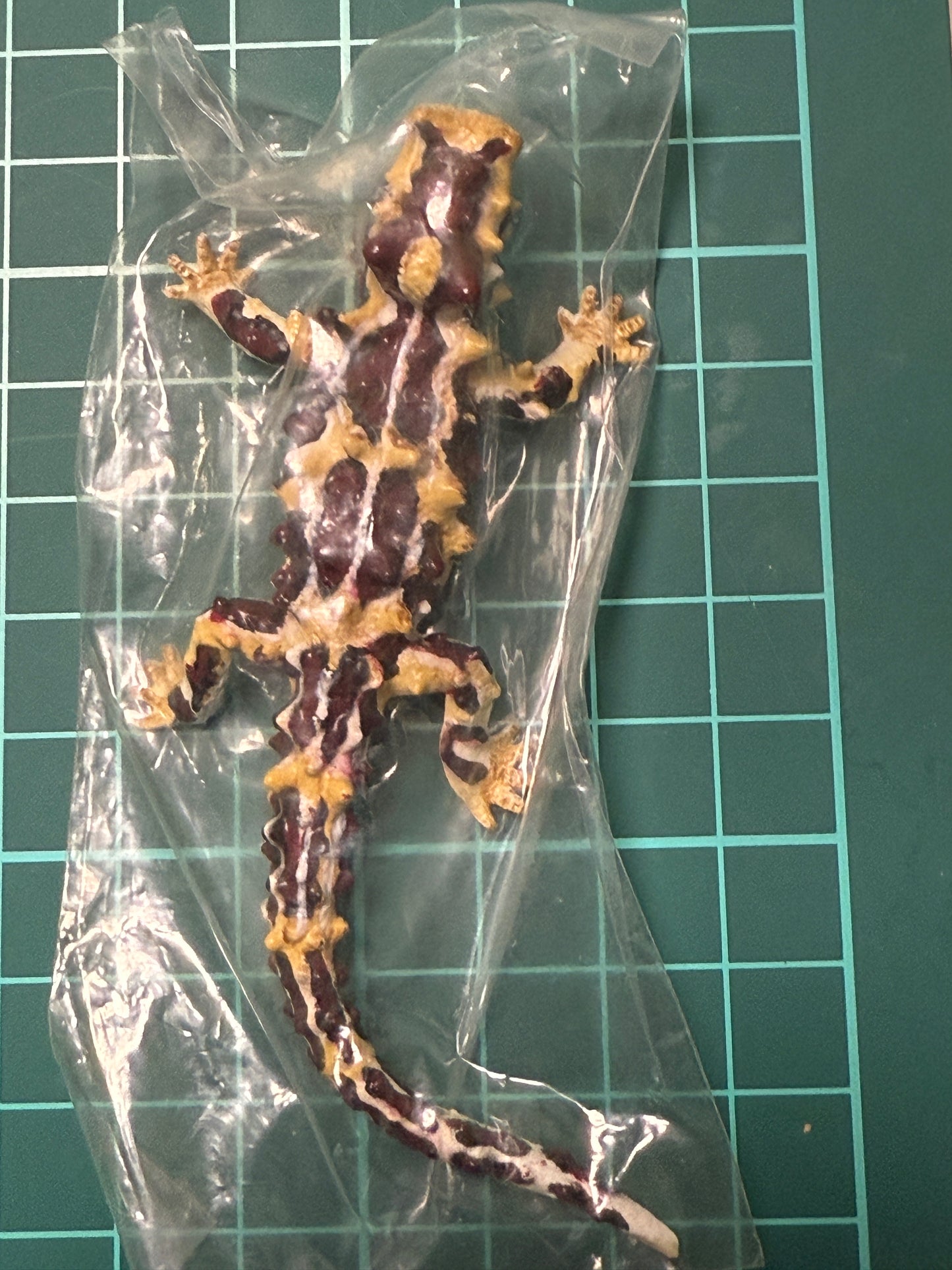 Retired Japan Yujin Lizard of the World PVC mini figure model Set ( 22 pcs included secret item)