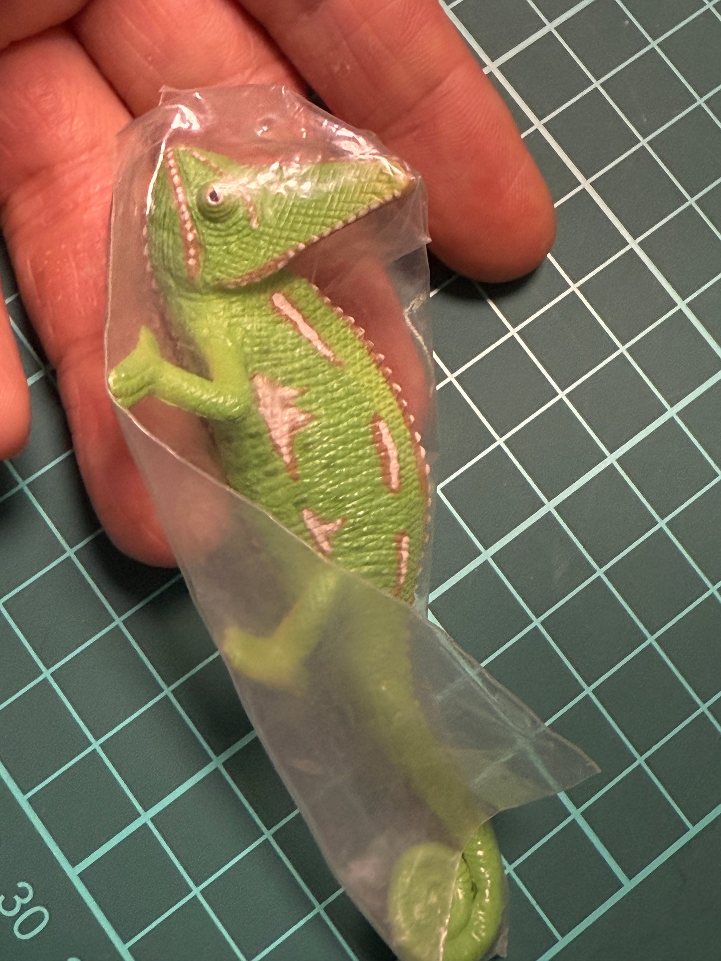 Retired Japan Yujin Lizard of the World PVC mini figure model Set ( 22 pcs included secret item)