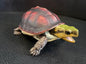 Chinese Box Turtle / Yellow-margined box turtle PVC Action Figure model with joints