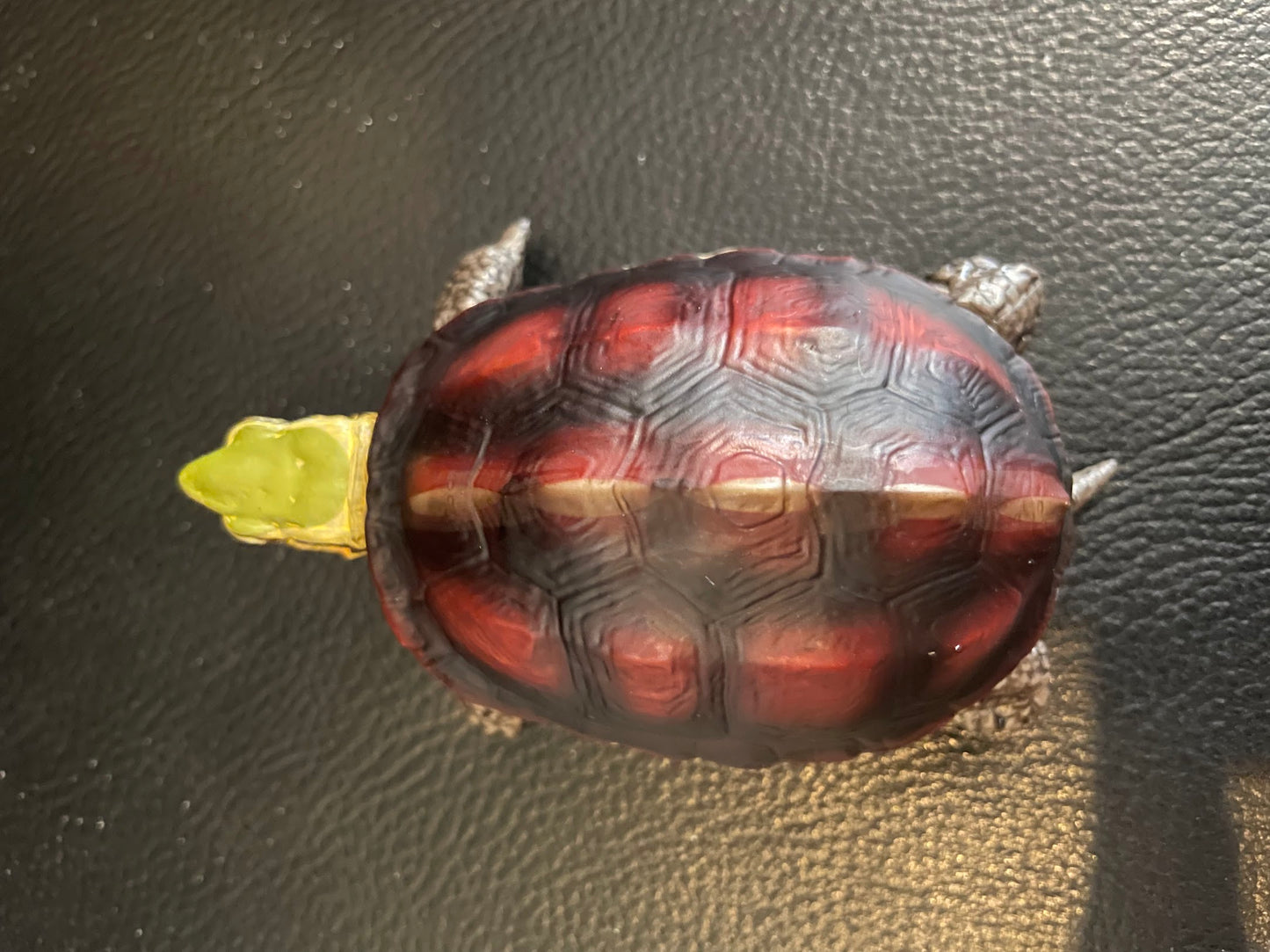 Chinese Box Turtle / Yellow-margined box turtle PVC Action Figure model with joints