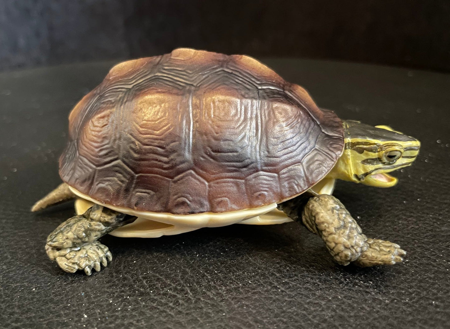 Amboina box turtle PVC Action Figure model with joints