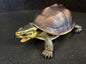 Amboina box turtle PVC Action Figure model with joints