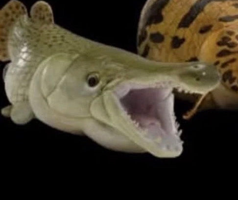Super Q Alligator Gar fish Resin figurine figure