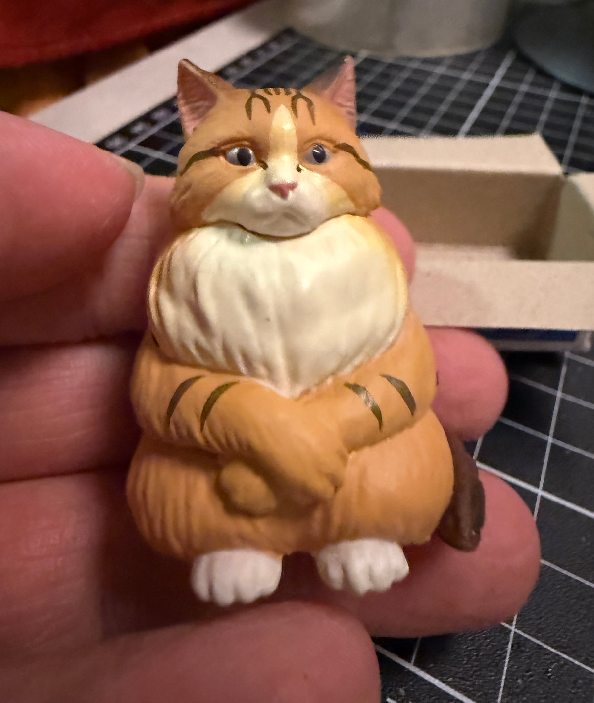 JAPAN Maine Coon Cat in box PVC mini Model Figure Figurine Gashapon