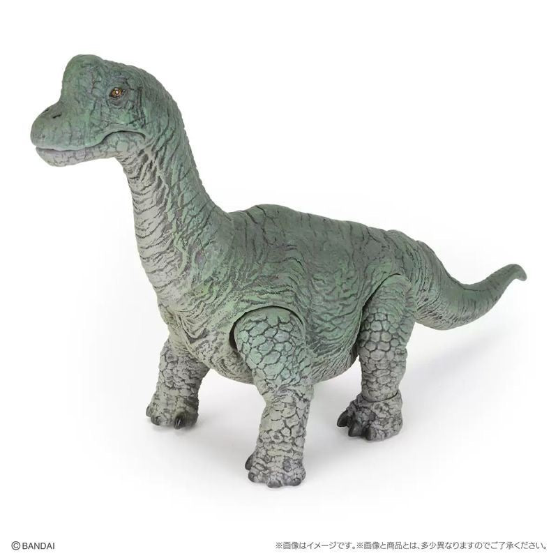 Kresta geko Lacerto Reptilio statueta figura modelringo kun stando B