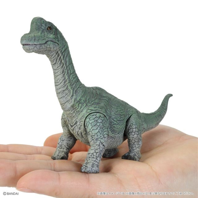 Kresta geko Lacerto Reptilio statueta figura modelringo kun stando B