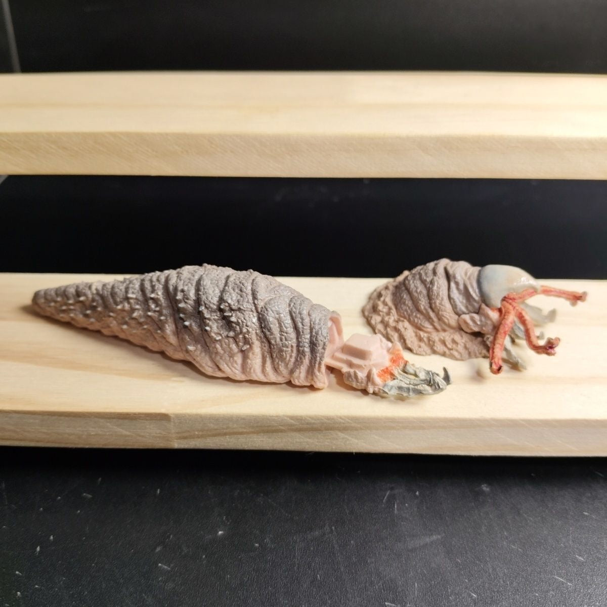 Kronengecko Eidechse Reptil Figur Figur Modell Ring mit Ständer B