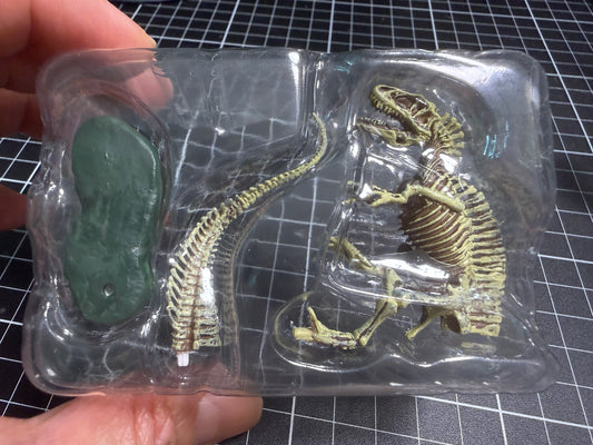 Japan Kaiyodo F-Toys Dinosaur Master Acrocanthosaurus Skeleton PVC Mini Figure Model Gashapon (White)