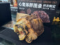 For customer Kittipan (Animal Planet Alligator Turtle Model)