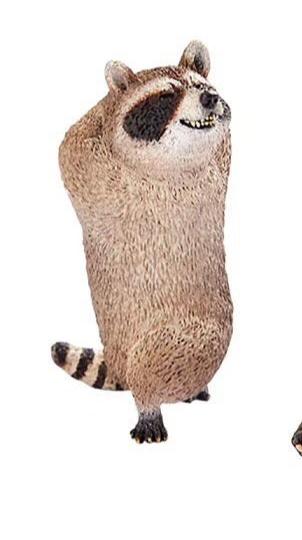 Animal Life Asakuma Toshio Yoga Animal Raccoon PVC Mini Figurine Figure Model