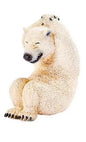 Animal Life Asakuma Toshio Yoga Animal Polar Bear PVC Mini Figurine Figure Model