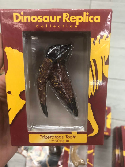 Retired Japan Dinosaur Replica Triceratops Tooth PVC Figure Figurine Model