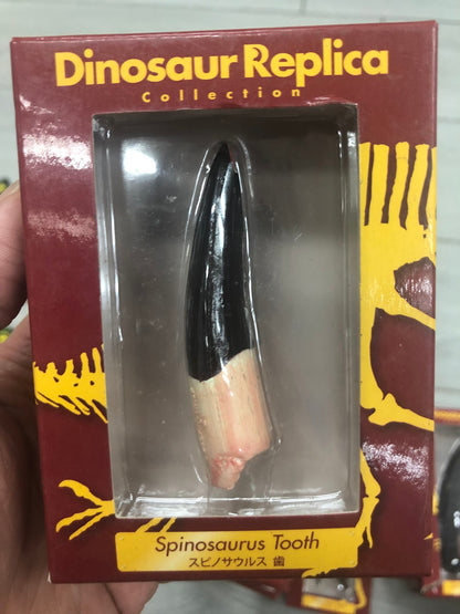 Retired Japan Dinosaur Replica Spinosaurus Tooth PVC Figure Figurine Model