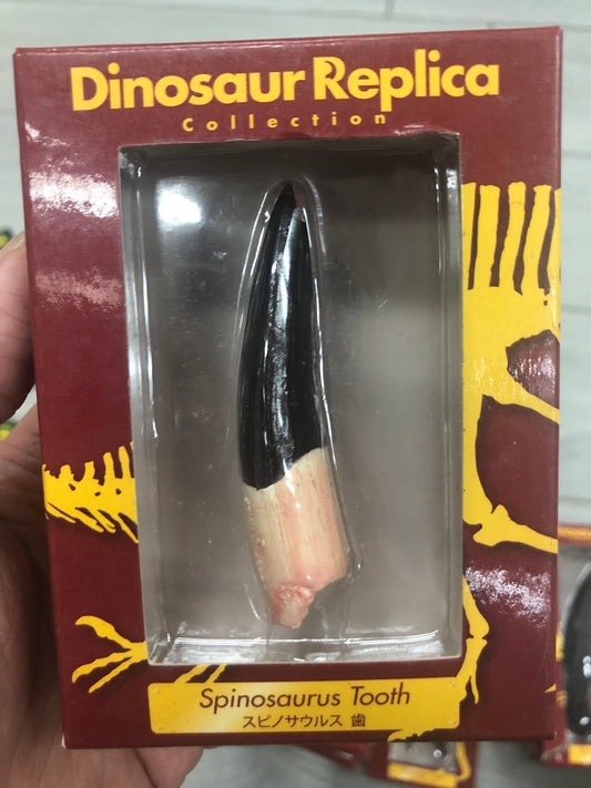 Retired Japan Dinosaur Replica Spinosaurus Tooth PVC Figure Figurine Model
