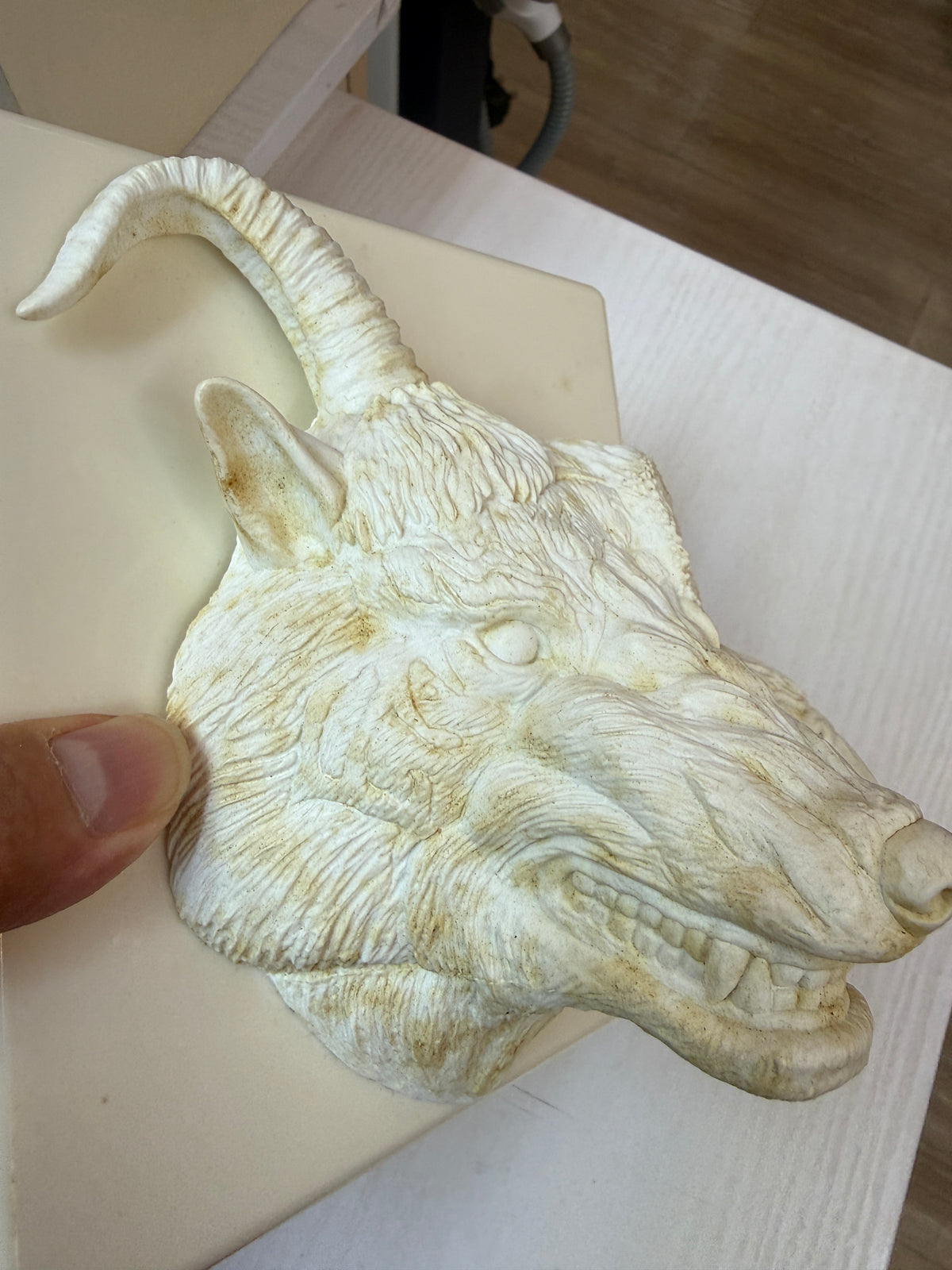the GazettE - BEAUTIFUL DEFORMITY Limited Edition 3D Cover Relief Plate (Case only)