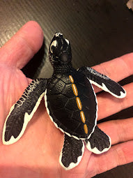 Ogasawara Marine Center exclusive Green Sea Turtle Baby PVC Model Figure Figurine, rare item