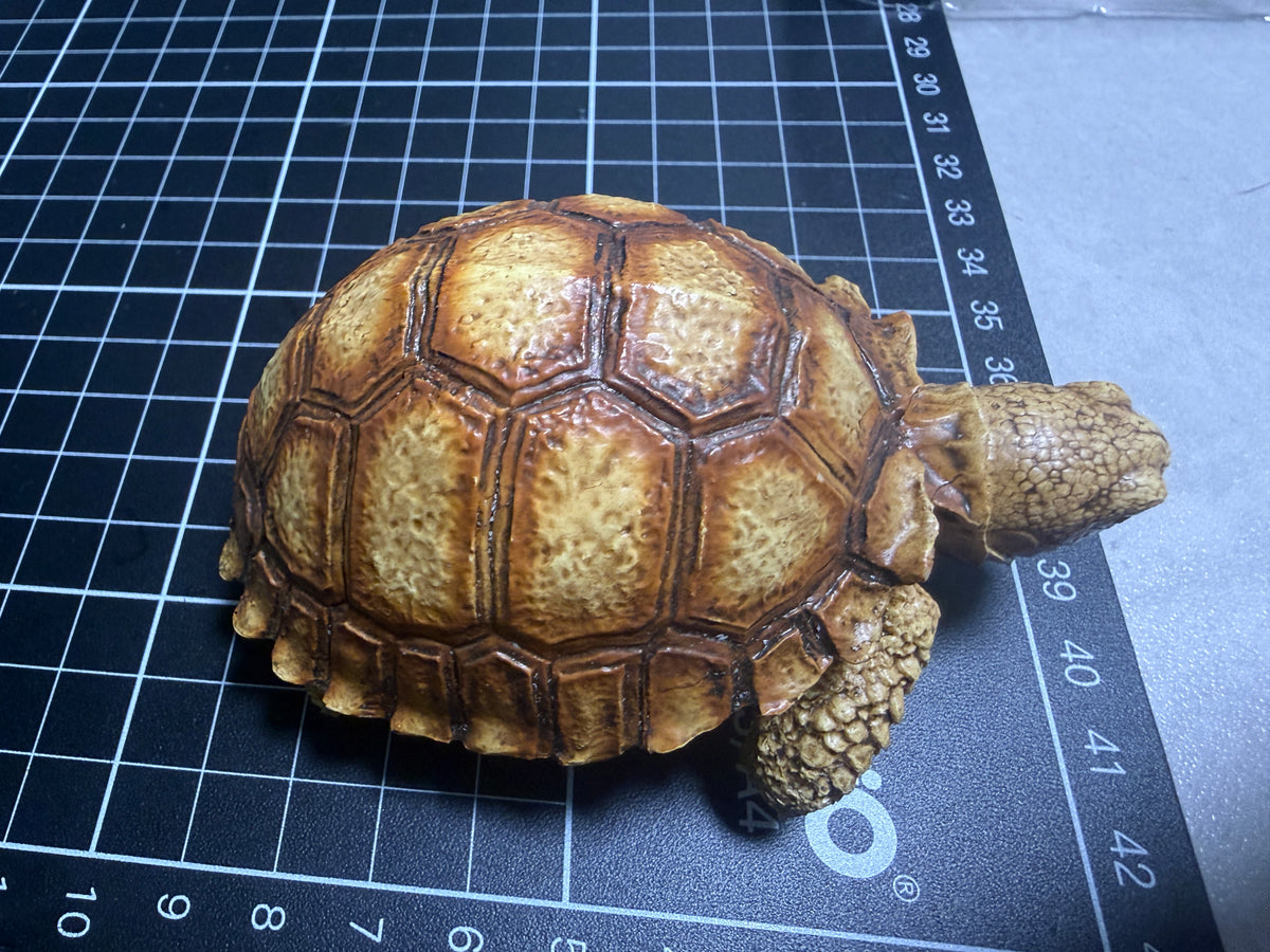 1:1 Lebensgroße Replik einer Schildkröte, Geochelone sulcata, Modellfigur, 36 cm
