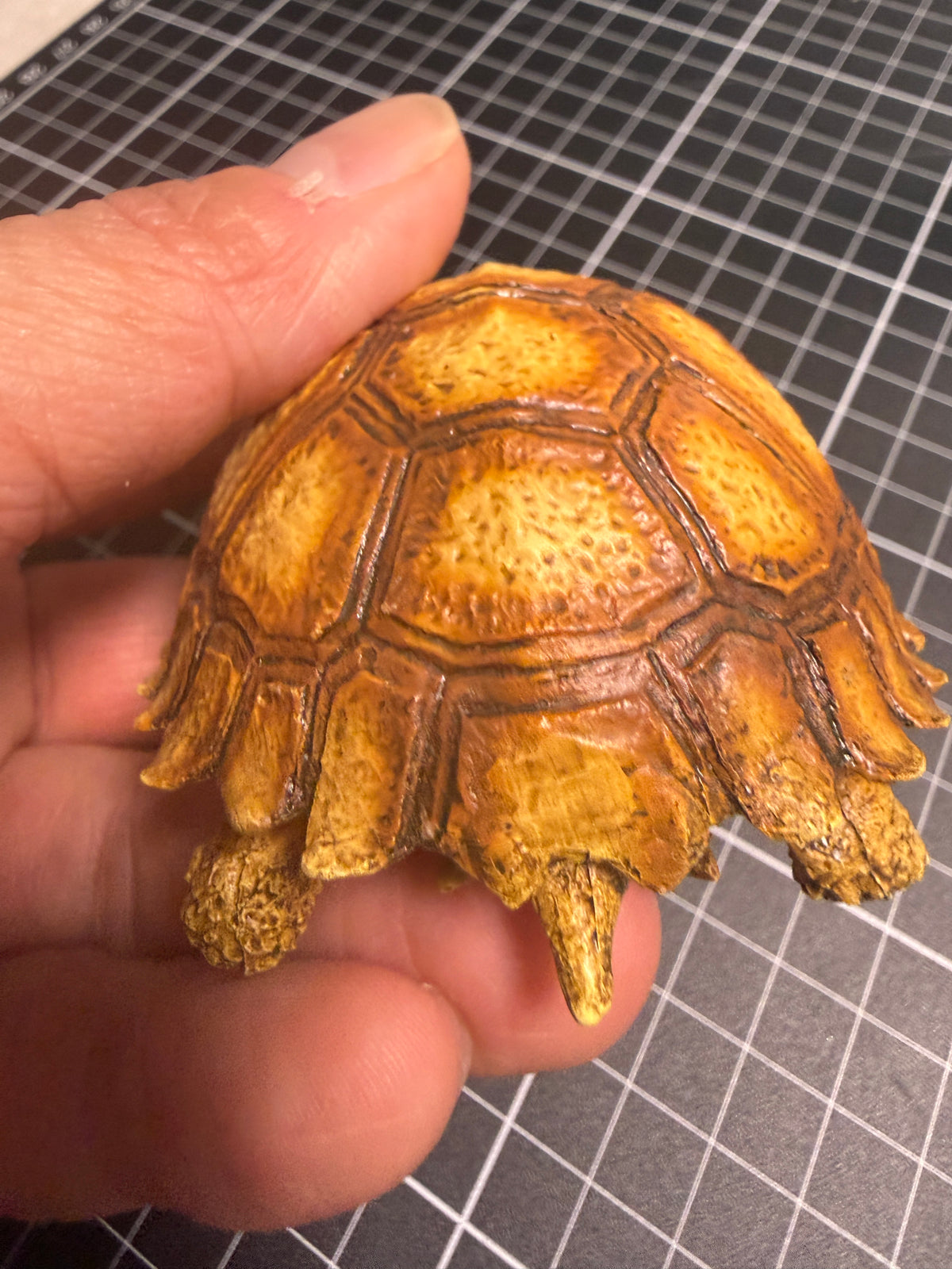 1:1 Lebensgroße Replik einer Schildkröte, Geochelone sulcata, Modellfigur, 36 cm