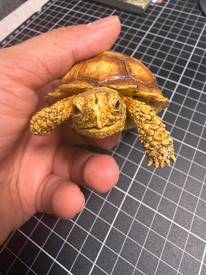 1:1 Lebensgroße Replik einer Schildkröte, Geochelone sulcata, Modellfigur, 36 cm