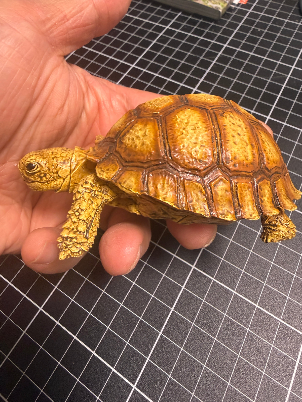 1:1 Lebensgroße Replik einer Schildkröte, Geochelone sulcata, Modellfigur, 36 cm